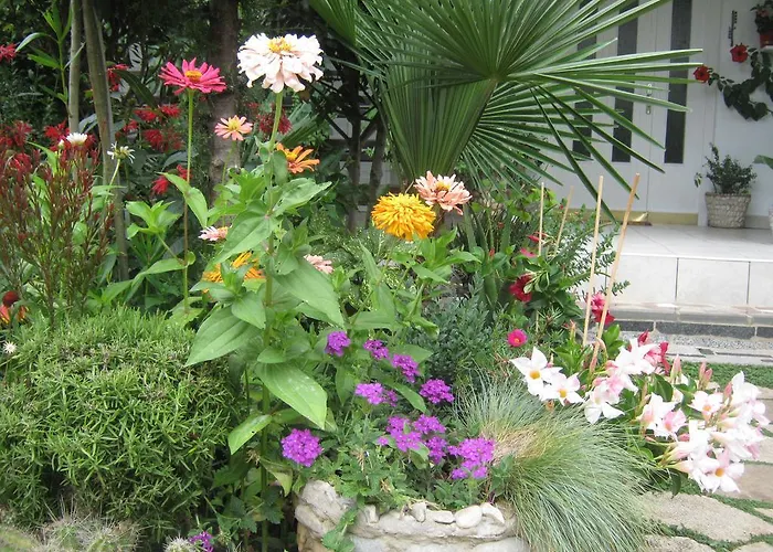 Linna ゲストハウス